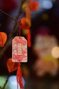 xì tố di động Nohu